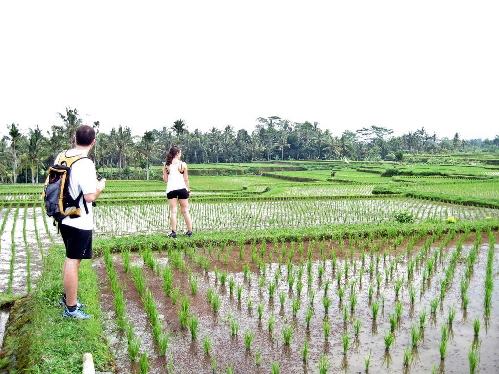 Uma Caming Villas & Gym Tegallalang  Luaran gambar
