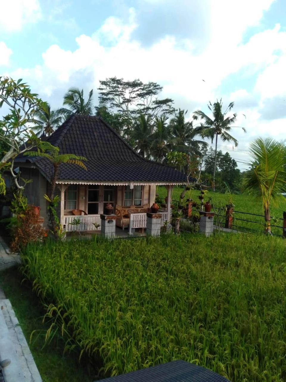Uma Caming Villas & Gym Tegallalang  Luaran gambar
