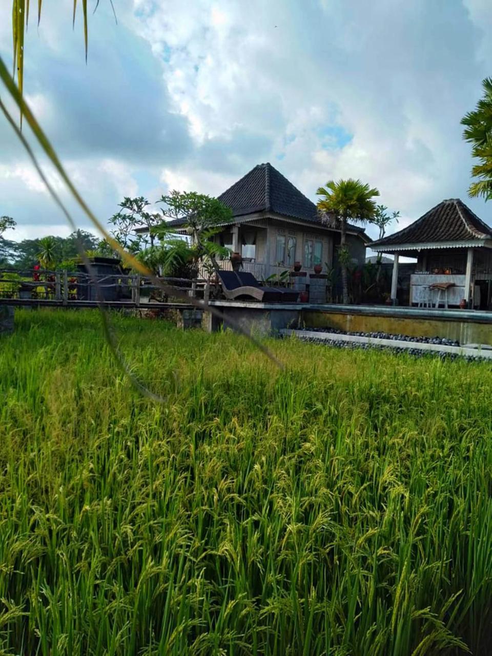 Uma Caming Villas & Gym Tegallalang  Luaran gambar